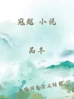 寇越 小说