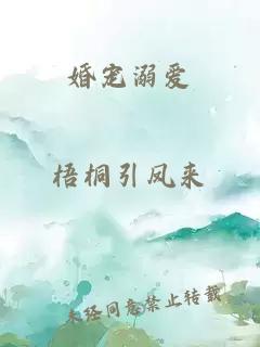 婚宠溺爱