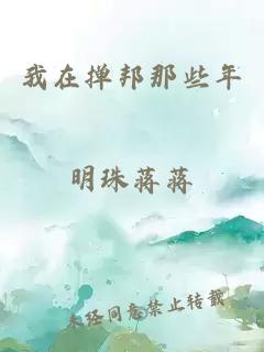 我在掸邦那些年