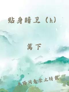 贴身暗卫（h）
