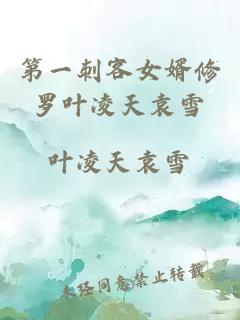 第一刺客女婿修罗叶凌天袁雪