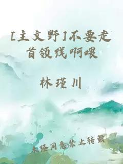 [主文野]不要走首领线啊喂