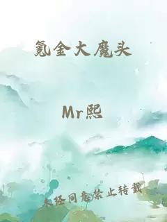 氪金大魔头